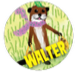Nuts Badges