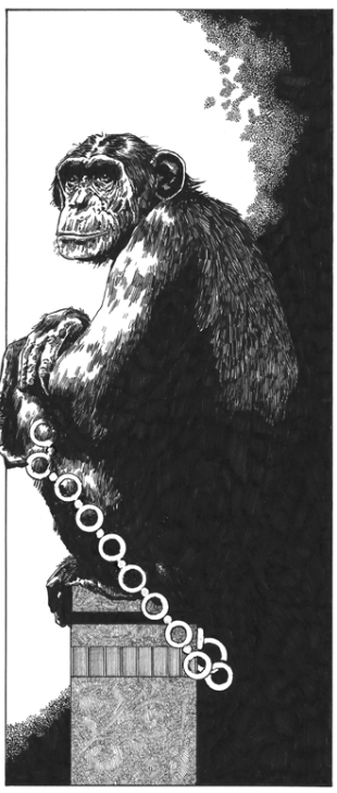 The Ape That Ate The World - Grayham Puttock